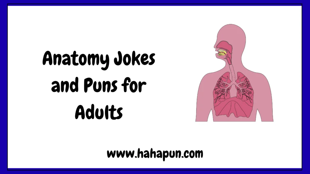 Anatomy Jokes and Puns for Adults