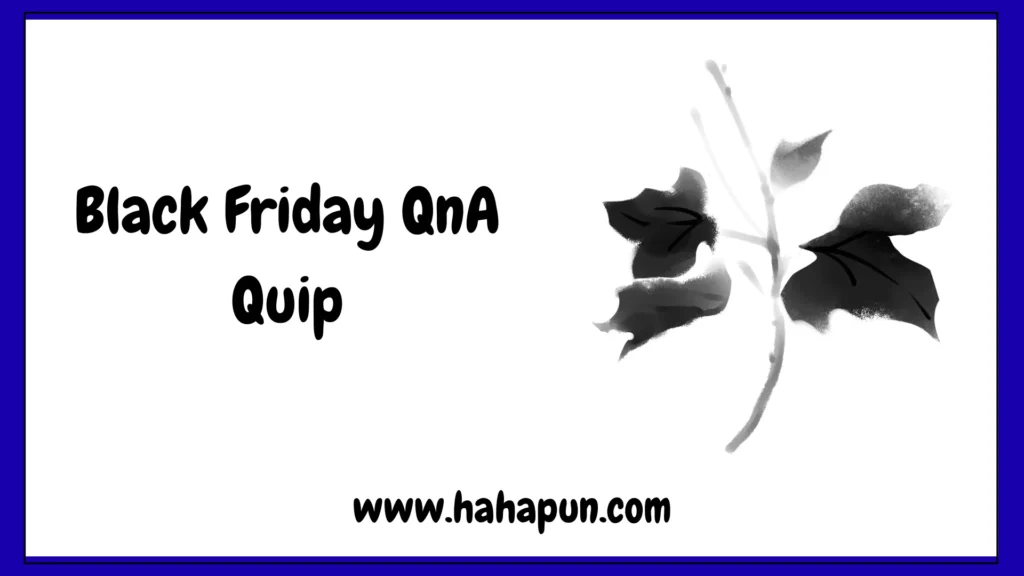Black Friday QnA Quip