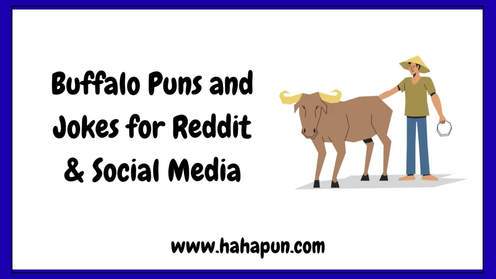 Buffalo Puns and Jokes for Reddit & Social Media