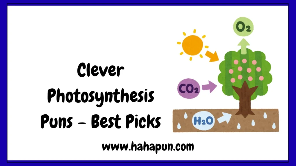 Clever Photosynthesis Puns – Best Picks