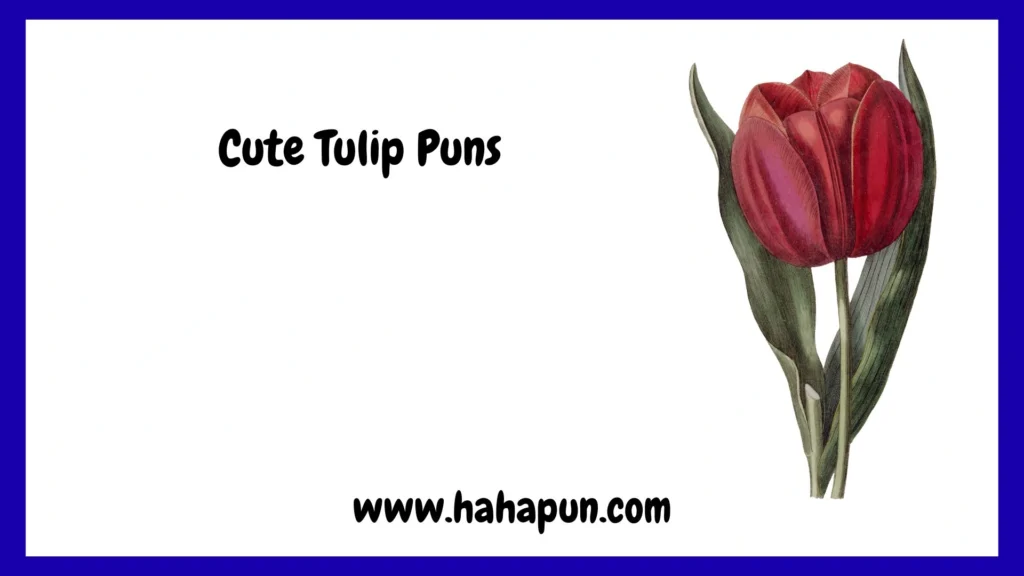 Cute Tulip Puns