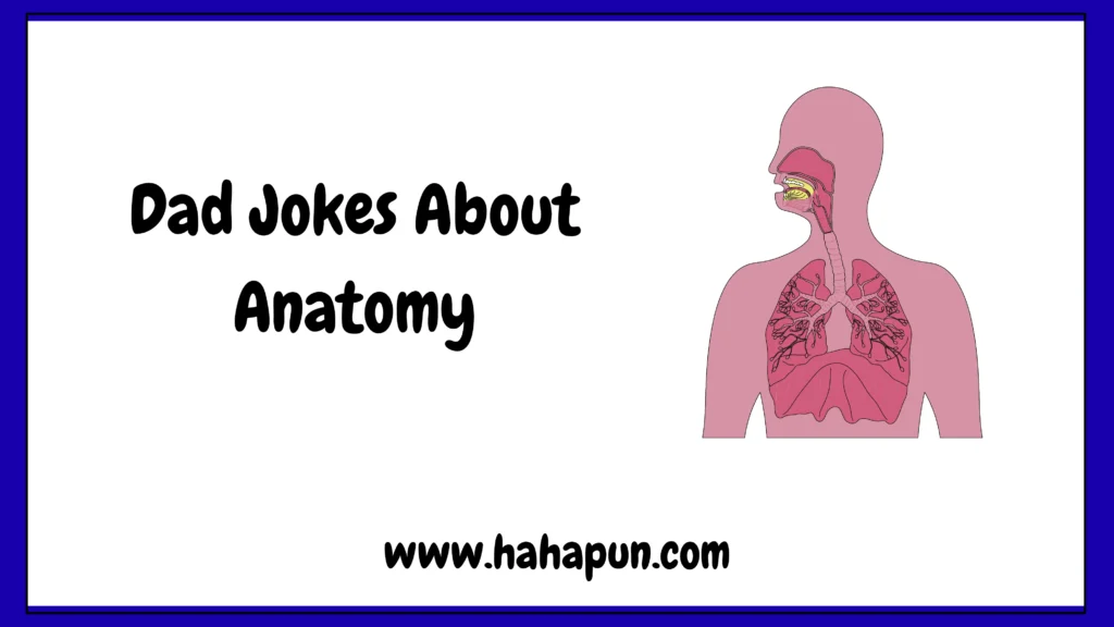 Dad Jokes About Anatomy