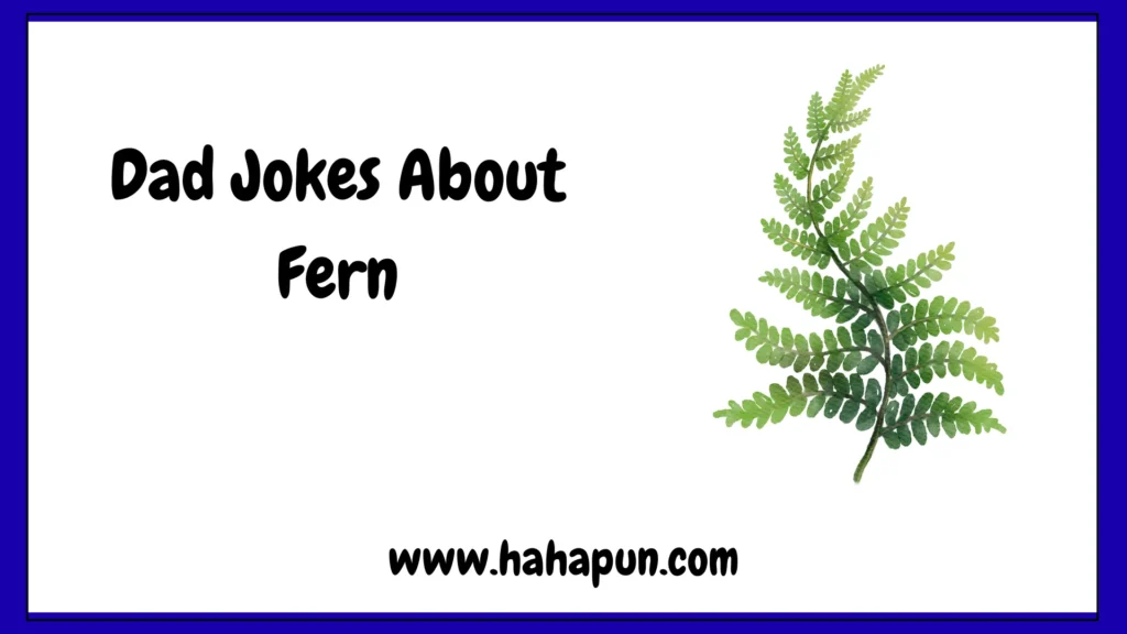 Dad Jokes About Fern