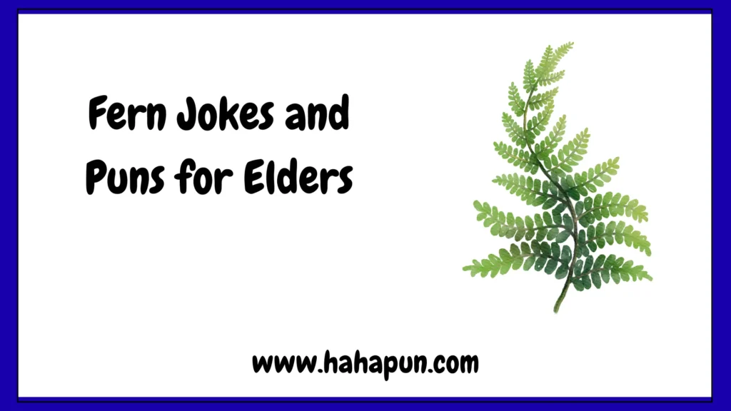 Fern Jokes and Puns for Elders