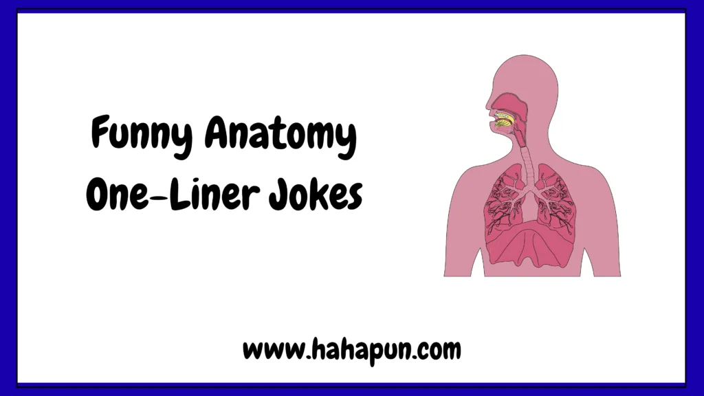 Funny Anatomy One-Liner Jokes