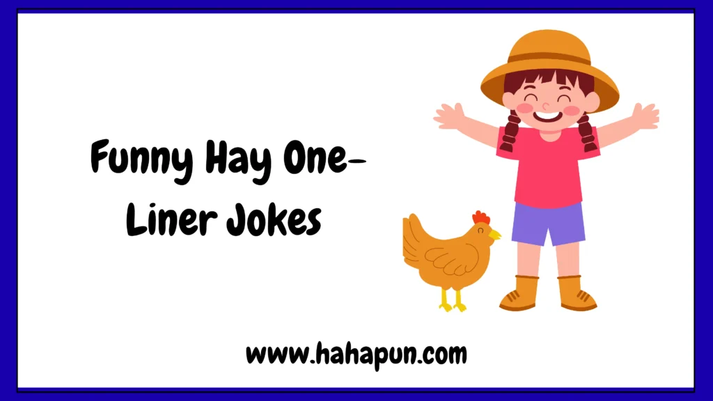 Funny Hay One-Liner Jokes