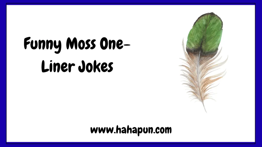 Funny Moss One-Liner Jokes