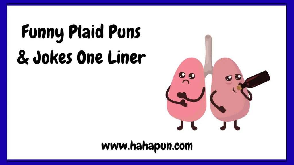 Funny Plaid Puns & Jokes One Liner