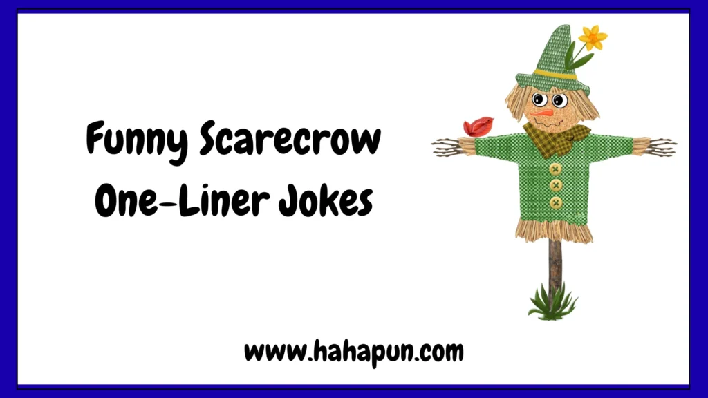 Funny Scarecrow One-Liner Jokes