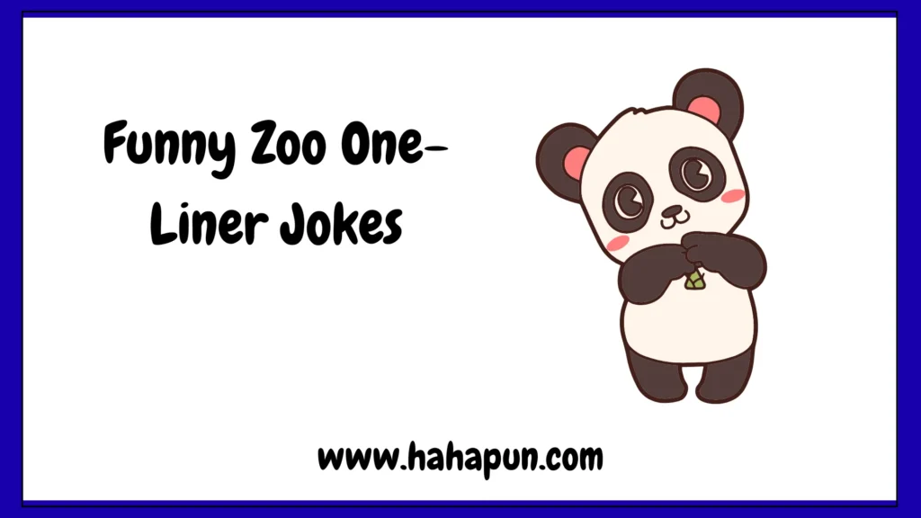 Funny Zoo One-Liner Jokes