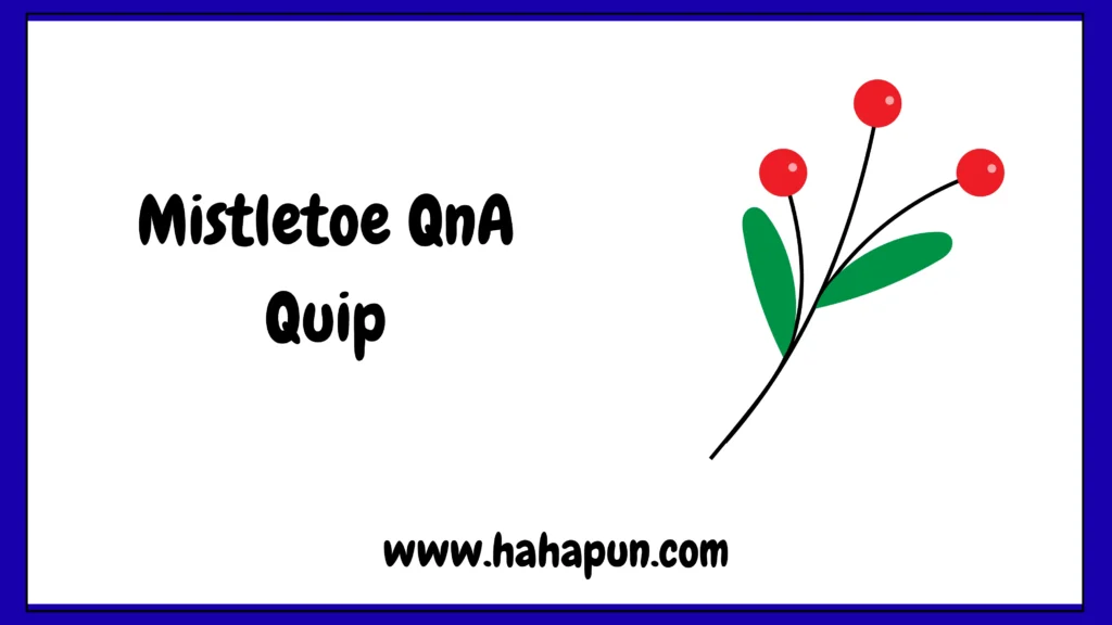 Mistletoe QnA Quip