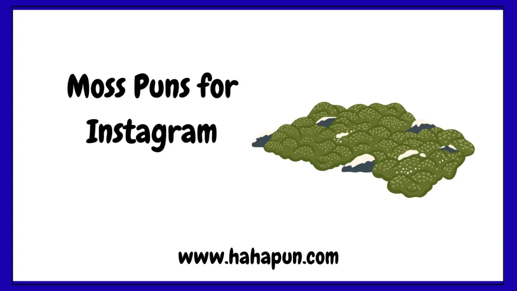 Moss Puns for Instagram