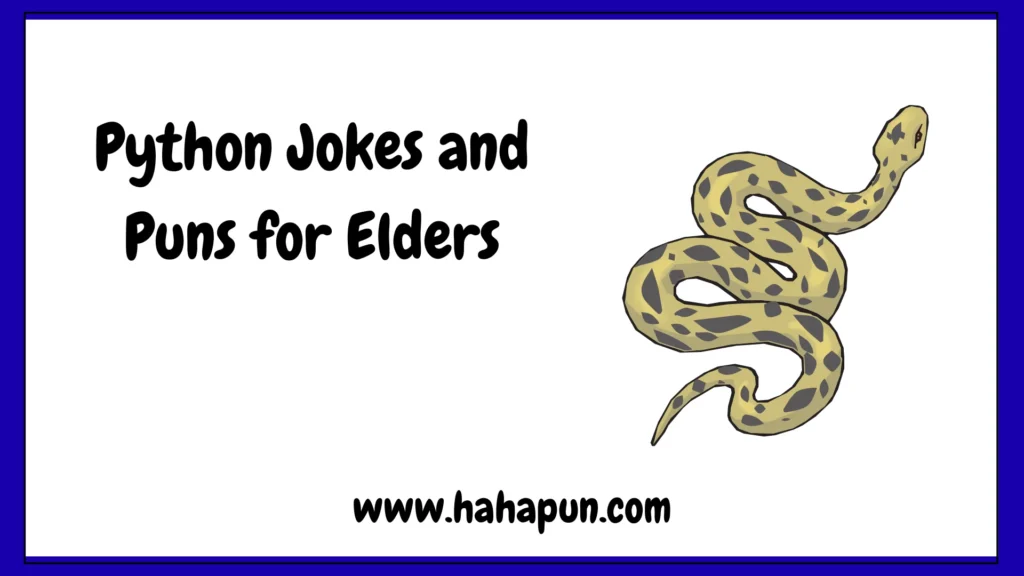 Python Jokes and Puns for Elders