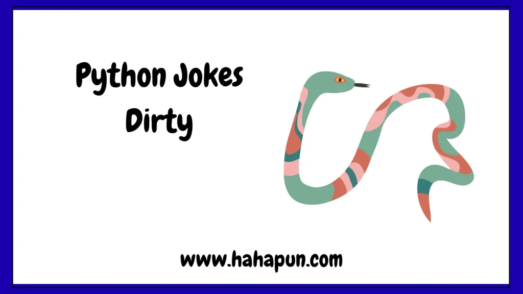 Python Jokes Dirty