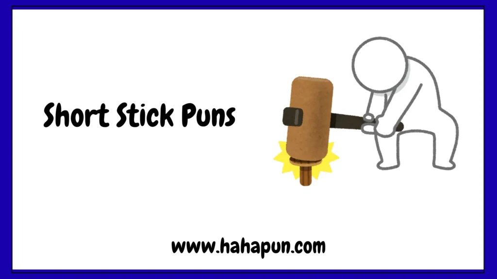 Short Stick Puns