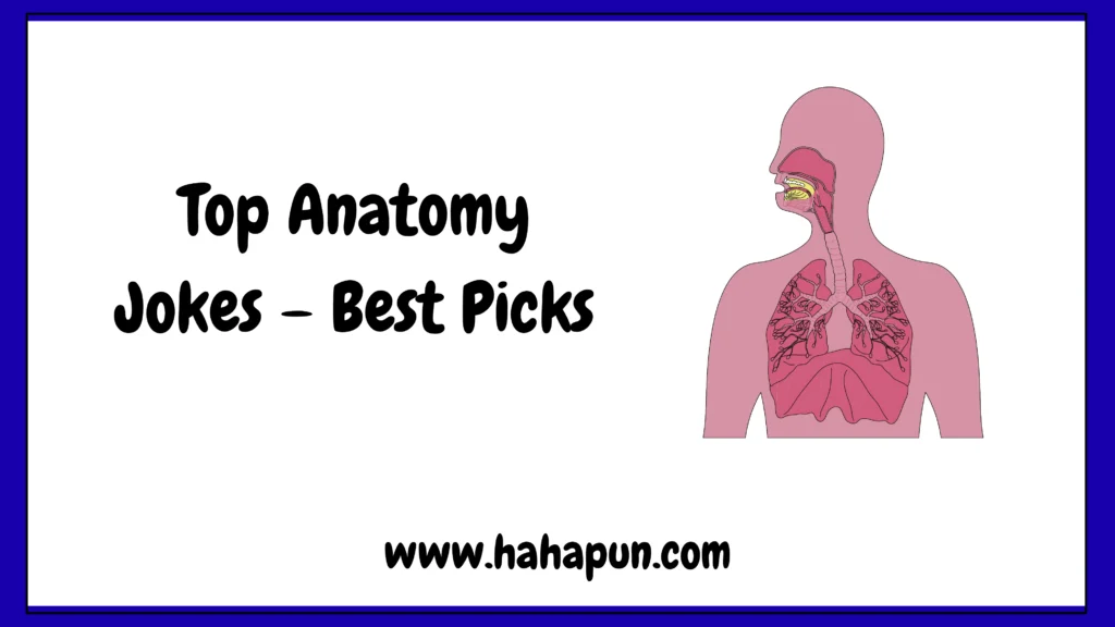 Top Anatomy Jokes – Best Picks