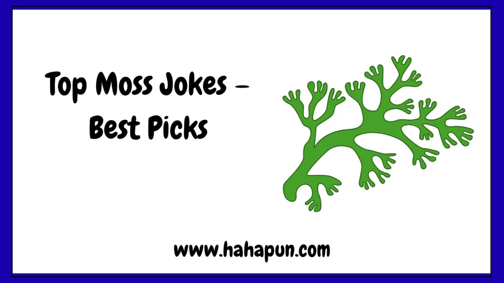 Top Moss Jokes – Best Picks