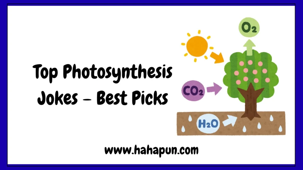 Top Photosynthesis Jokes – Best Picks