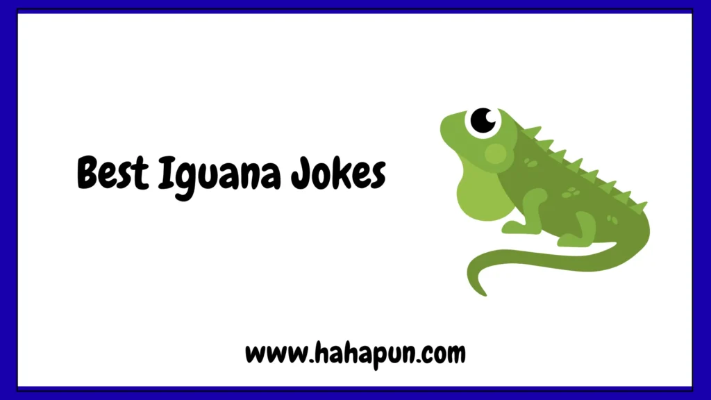 Best Iguana Jokes