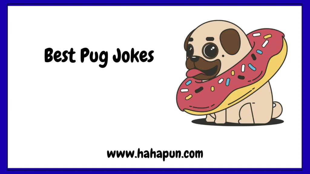 Best Pug Jokes