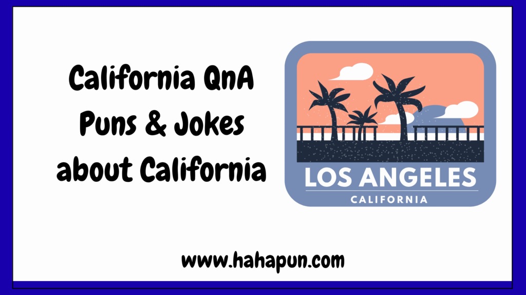 California QnA Puns & Jokes about California