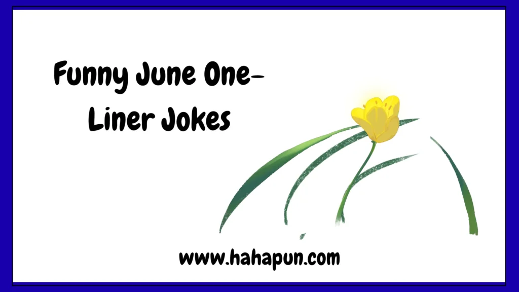 Funny June One-Liner Jokes