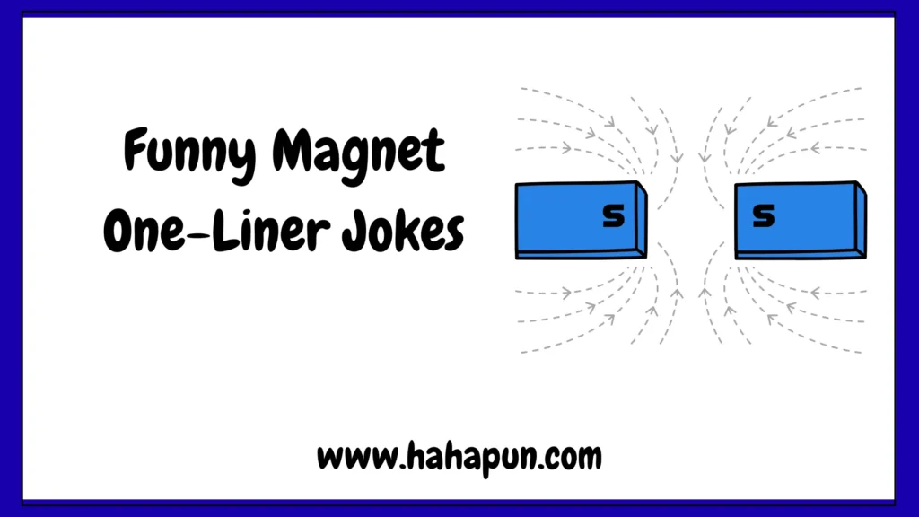 Funny Magnet One-Liner Jokes