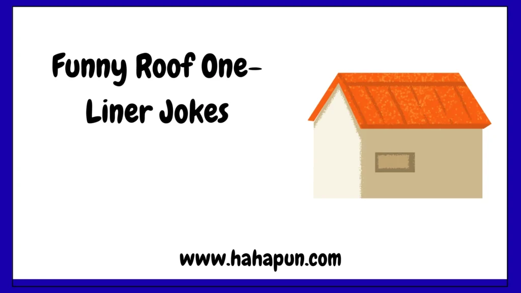 Funny Roof One-Liner Jokes