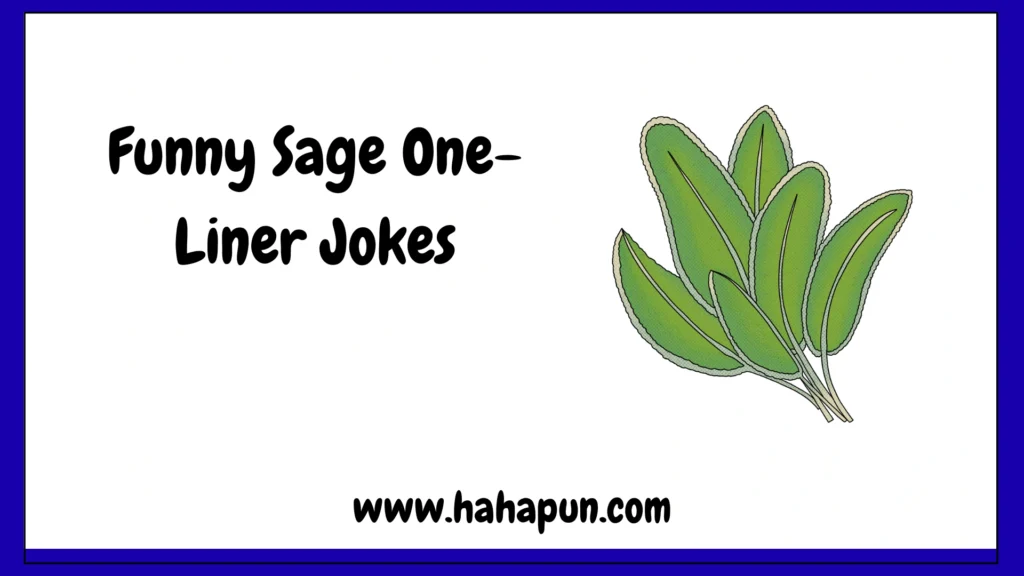 Funny Sage One-Liner Jokes