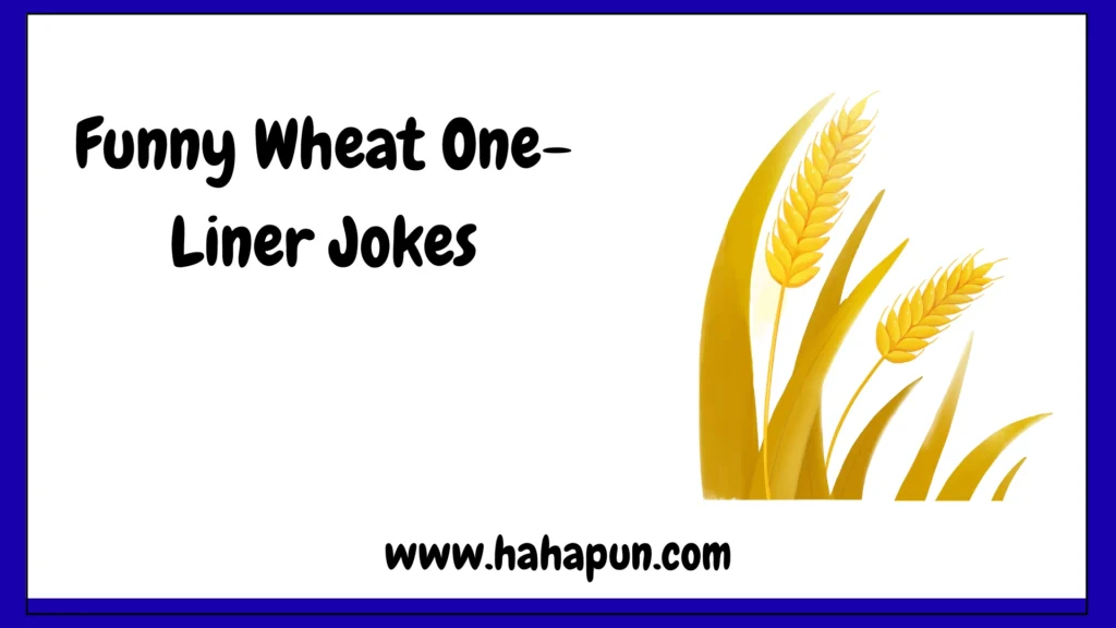 Funny Wheat One-Liner Jokes 