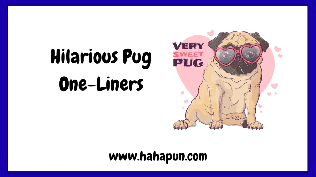 Hilarious Pug One-Liners