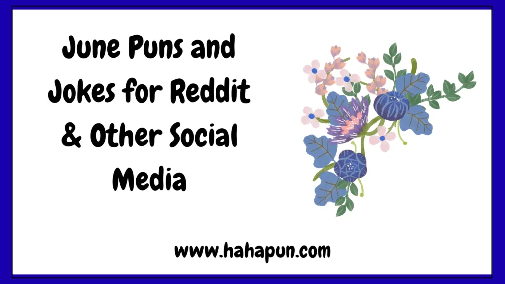 June Puns and Jokes for Reddit & Other Social Media