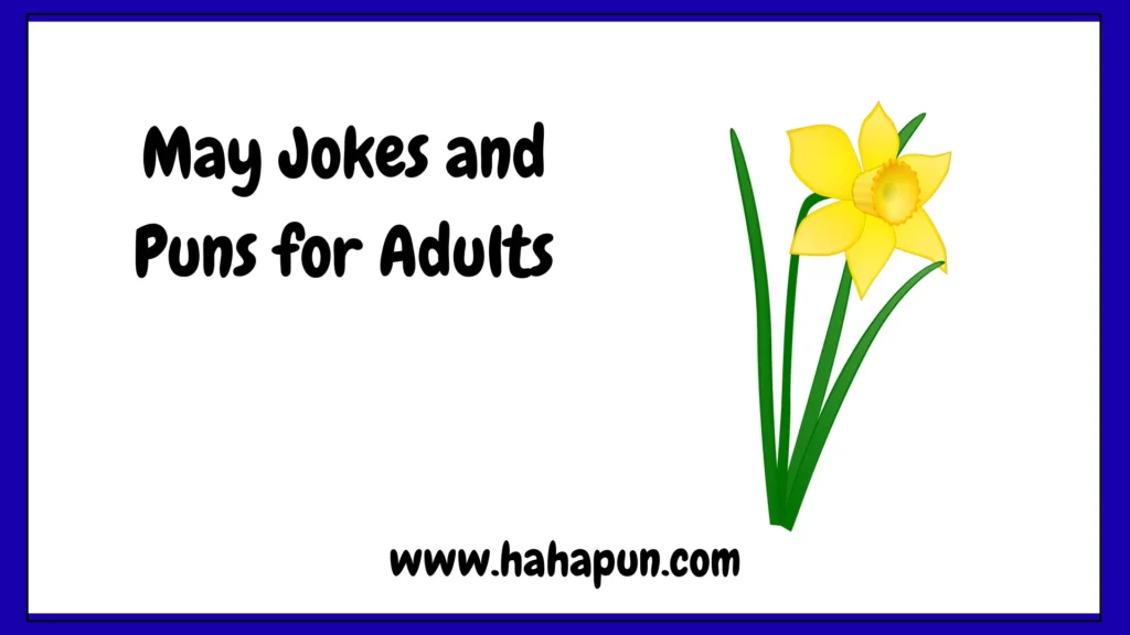May Jokes and Puns for Adults