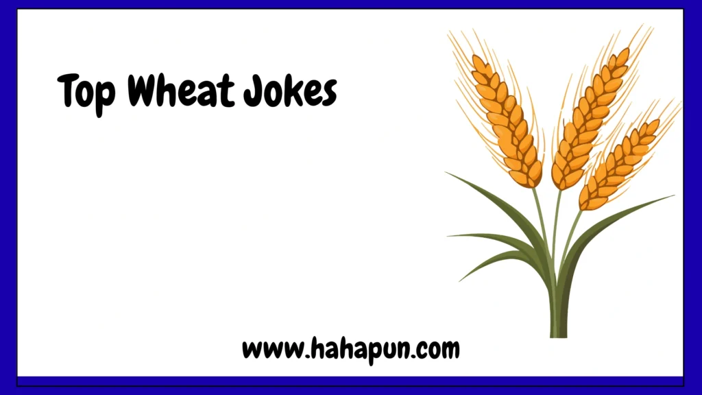 Top Wheat Jokes 
