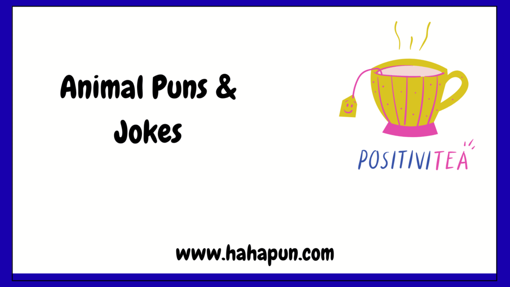 Animal Puns & Jokes