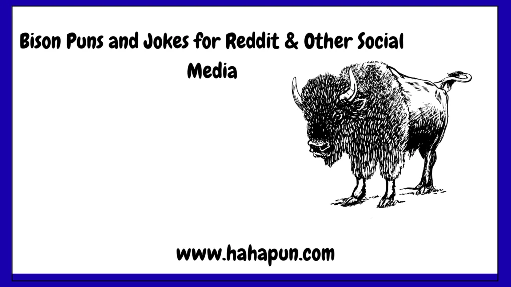 Bison Puns and Jokes for Reddit & Other Social Media