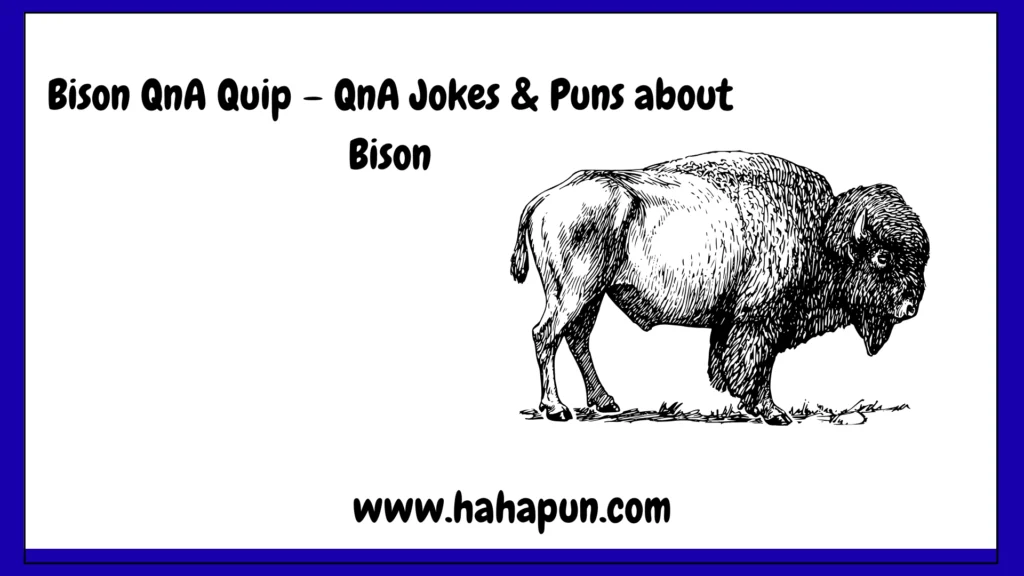 Bison QnA Quip – QnA Jokes & Puns about Bison