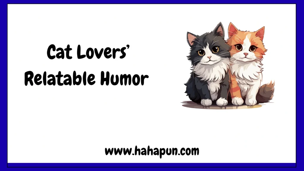 Cat Lovers’ Relatable Humor 