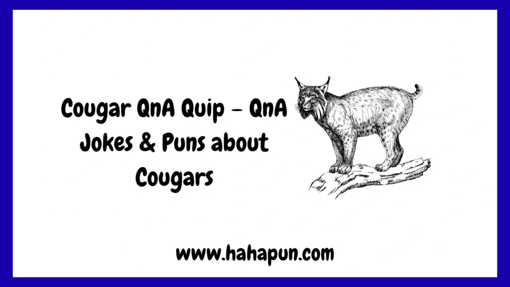 Cougar QnA Quip – QnA Jokes & Puns about Cougars