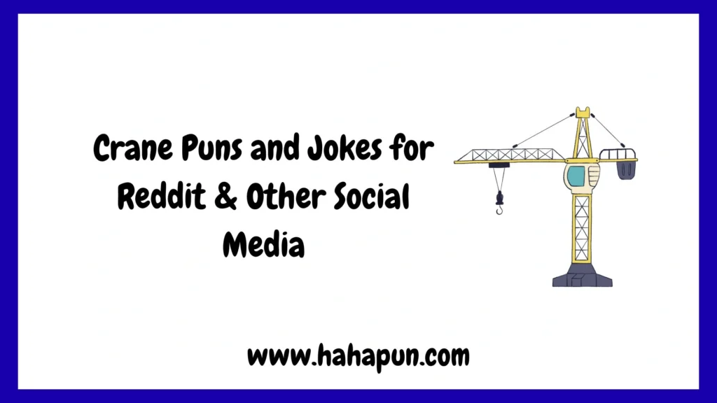 Crane Puns and Jokes for Reddit & Other Social Media