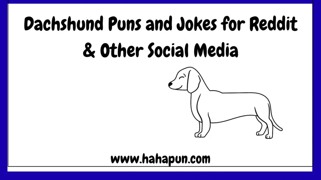 Dachshund Puns and Jokes for Reddit & Other Social Media
