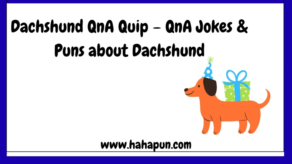 Dachshund QnA Quip – QnA Jokes & Puns about Dachshund