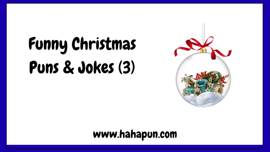 Funny Christmas Puns & Jokes (3)