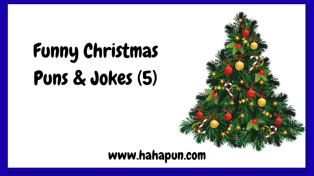 Funny Christmas Puns & Jokes (5)