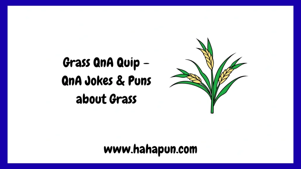 Grass QnA Quip – QnA Jokes & Puns about Grass