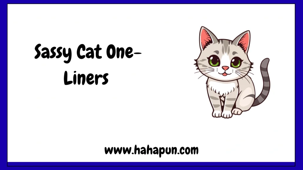 Sassy Cat One-Liners 
