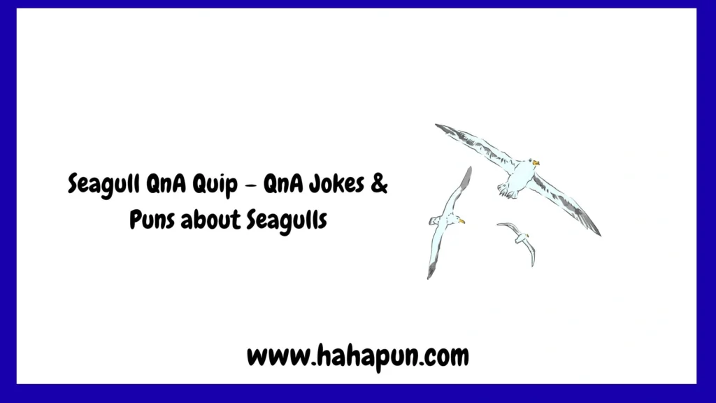 Seagull QnA Quip – QnA Jokes & Puns about Seagulls
