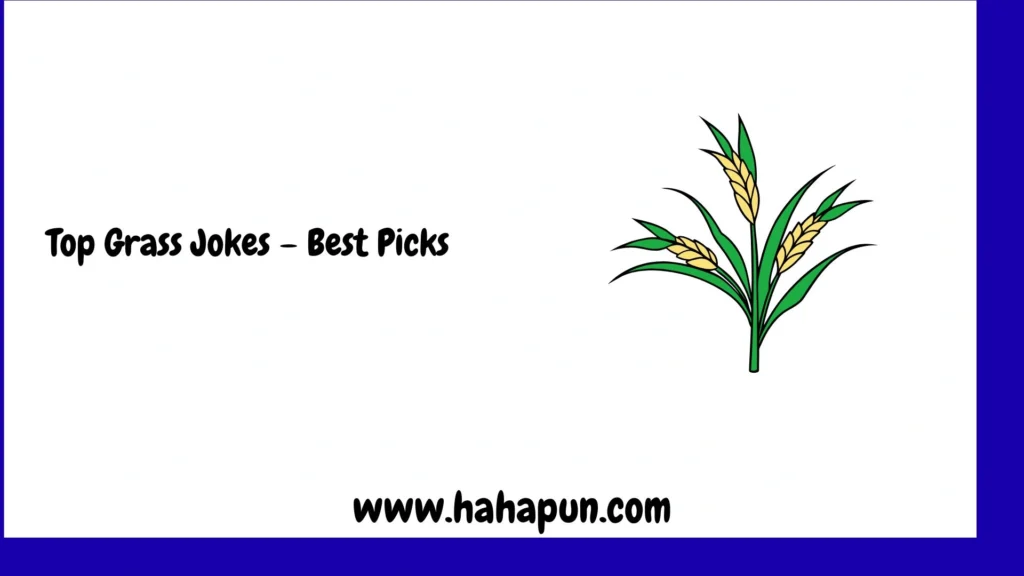 Top Grass Jokes – Best Picks