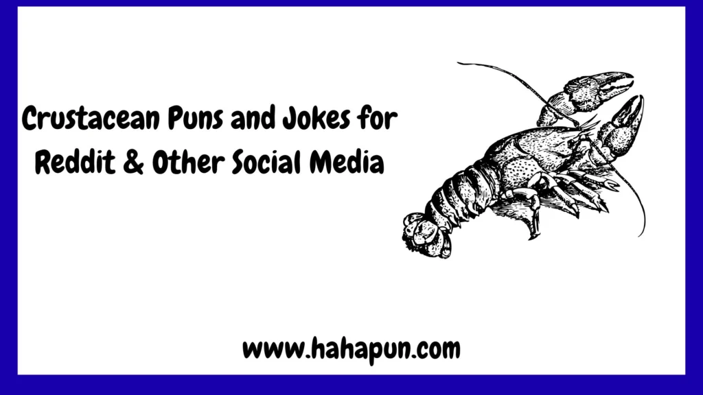 Crustacean Puns and Jokes for Reddit & Other Social Media