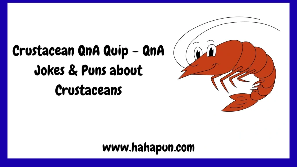 Crustacean QnA Quip – QnA Jokes & Puns about Crustaceans